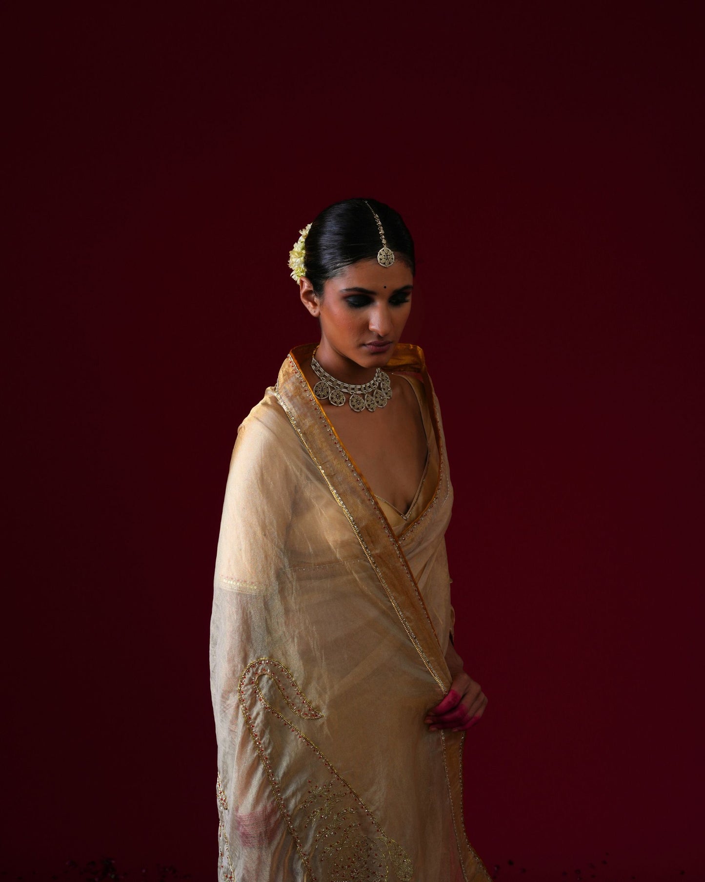 Padmini Organza Tissue Saree with Stitched blouse