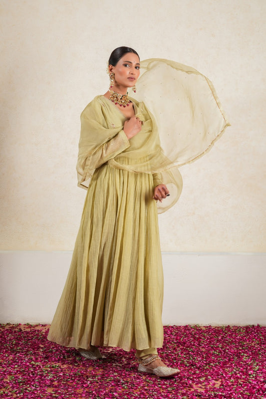 Gulbahar Green Pure Silk Chanderi Hand Embroidered Anarkali Set