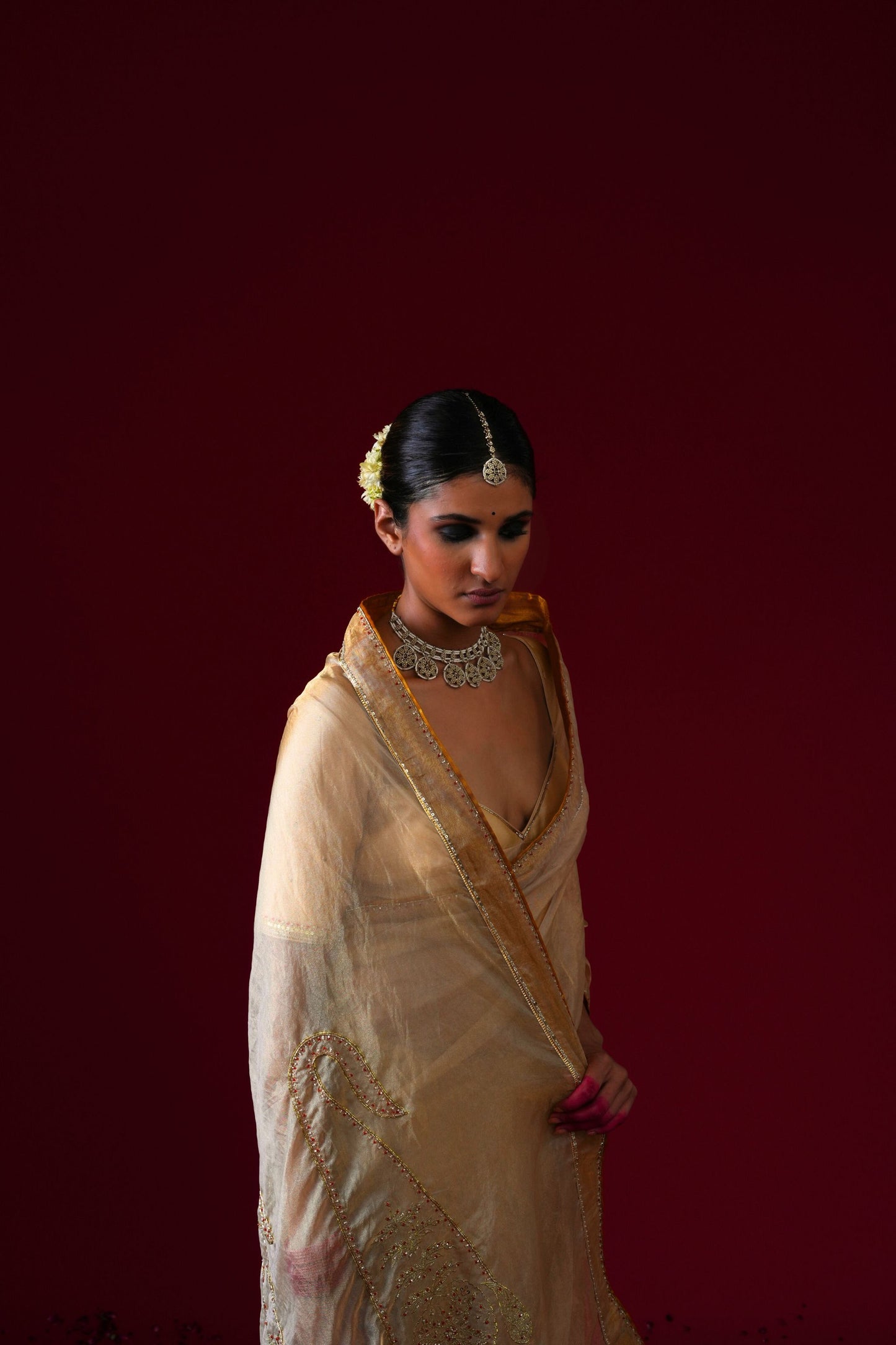 Padmini Organza Tissue Saree with Stitched blouse