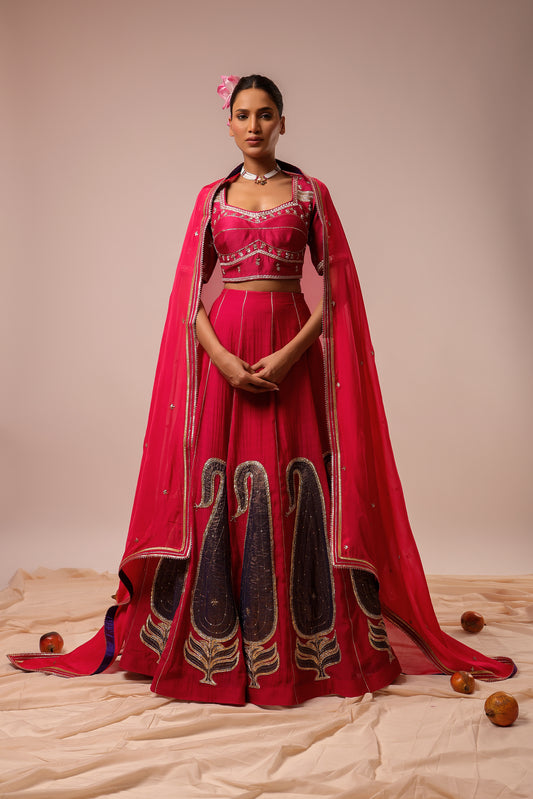 Gulnaar Hand Embroidered Lehenga Set